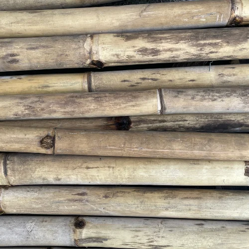 Treated Bamboo Poles