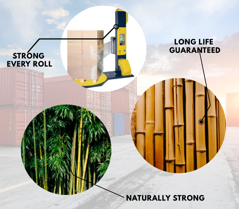 Bharti Global Export